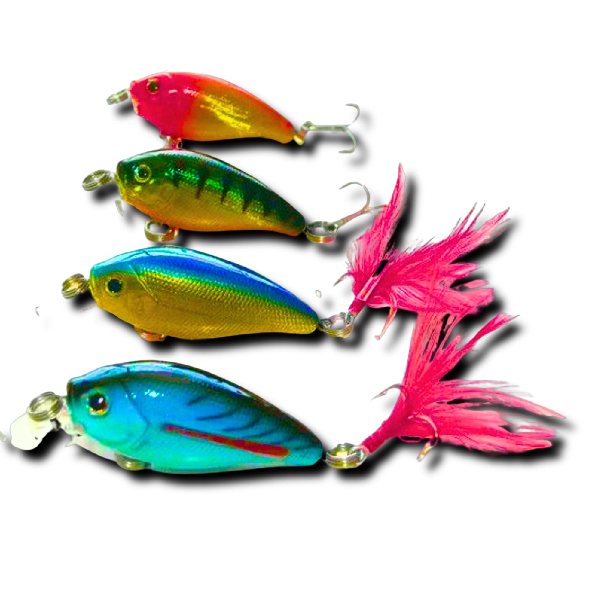 Kamikaze 4 pack with Lure Bag - Bella A - South East Clearance Centre