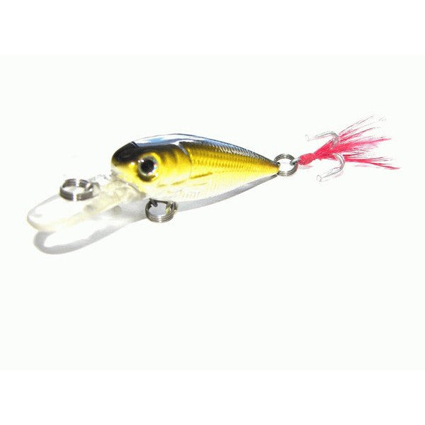 Kamikaze Hard Body Lures and Bag - Shallow Diver B - South East Clearance Centre