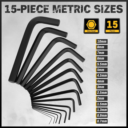 41-Piece Hex and Torx Key Set, Allen Key Set with Torque Handle, Standard SAE(0.028"-3/8") & Metric(0.7mm-10mm) & Torx(T9-T50) in Storage Case, Heat Treated Chrome Vanadium Steel