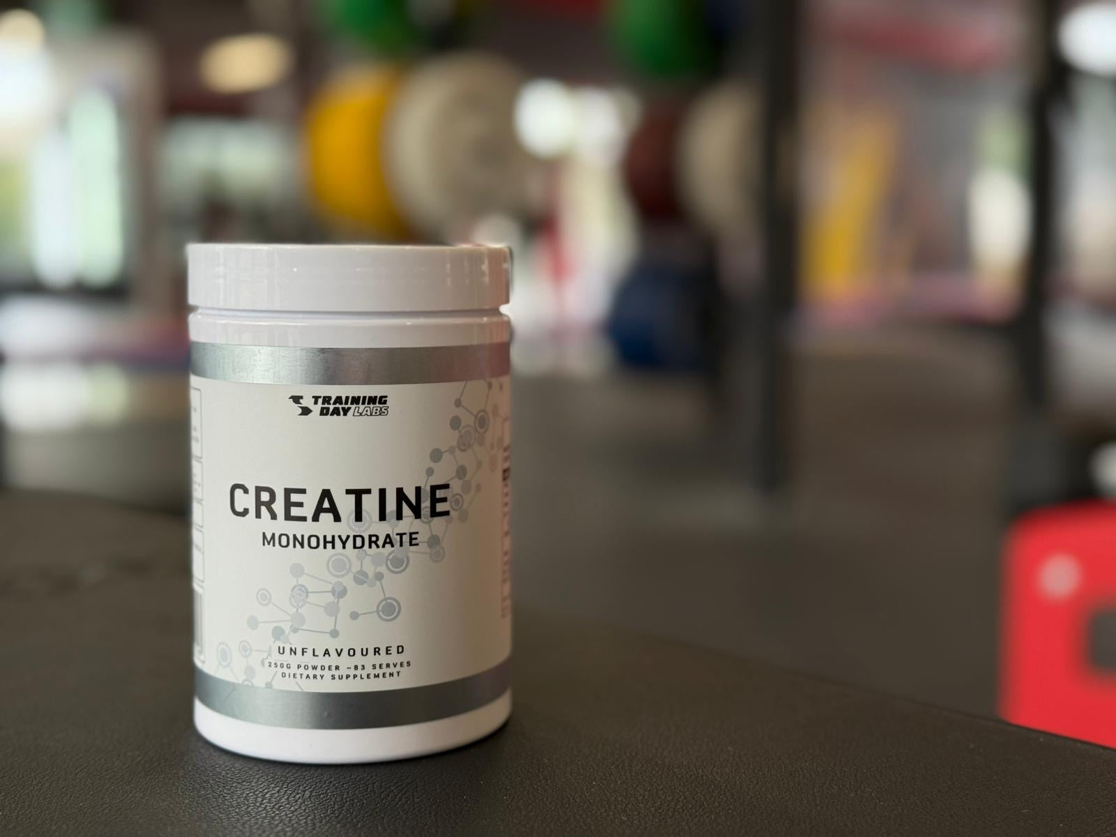 Training Day Labs Creatine Monohydrate - 83 Serves