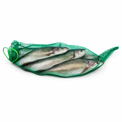 Fish Scaling Bag - South East Clearance Centre